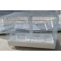 Cage d'élevage 50 cm (uniquement vendue en magasin)
